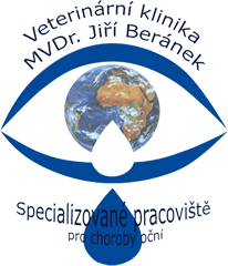 Primary Raster logo