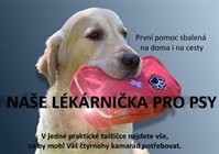 Lékárnička